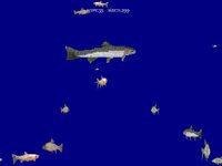 King Of Water screenshot, image №3605177 - RAWG
