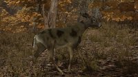 Pro Deer Hunting screenshot, image №2280376 - RAWG