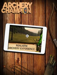 Archery Champion FREE: 3D Bow Tournament Master - target shooting screenshot, image №982343 - RAWG