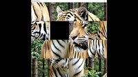 hgmGame-tiger screenshot, image №4224061 - RAWG