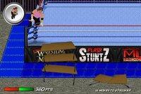 Flash StuntZ (Wrestling) screenshot, image №1449278 - RAWG