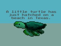 A little turtle has just hatched on a beach in Texas. screenshot, image №1070742 - RAWG