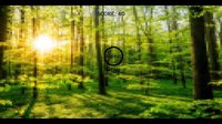 Kingdom of animals Demo screenshot, image №2375666 - RAWG