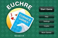 Euchre screenshot, image №1330384 - RAWG