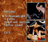 WCW SuperBrawl Wrestling screenshot, image №763240 - RAWG