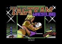 American Tag-Team Wrestling screenshot, image №747326 - RAWG