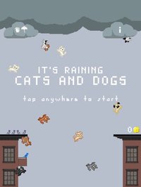 It's Raining Cats and Dogs screenshot, image №1866461 - RAWG