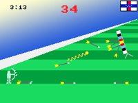 Realistic Summer Sports Simulator screenshot, image №993689 - RAWG