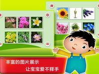 Plant & Flower - Study Chinese Words and Learn Language used in China From Scratch screenshot, image №1656396 - RAWG