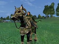 Dark Age of Camelot: Darkness Rising screenshot, image №431400 - RAWG