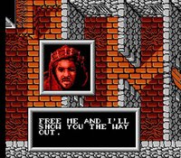 Robin Hood: Prince of Thieves screenshot, image №3584312 - RAWG