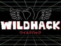 Wild Hack screenshot, image №2305571 - RAWG