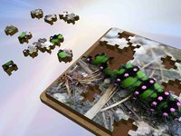 Super Jigsaws Bugs & Creatures screenshot, image №1330720 - RAWG