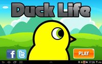 Duck Life screenshot, image №1518783 - RAWG