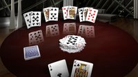 Crazy Eights 3D Premium screenshot, image №2220494 - RAWG