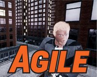 Agile screenshot, image №2253289 - RAWG