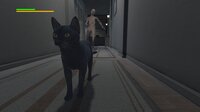 Cat Apocalypse screenshot, image №4112949 - RAWG