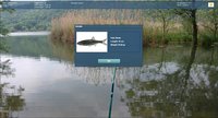 Truefish screenshot, image №2012123 - RAWG