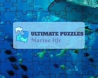 Ultimate Puzzles Marine Life screenshot, image №2855654 - RAWG