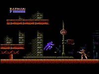 Batman: The Video Game screenshot, image №2149202 - RAWG