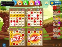 Bingo! Abradoodle Bingo Games screenshot, image №898547 - RAWG