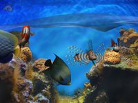 Fish Fingers! 3D Interactive Aquarium FREE screenshot, image №1684576 - RAWG