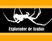 Explorador de arañas screenshot, image №2486963 - RAWG