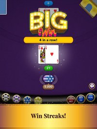 Blackjack: Casino Card Game screenshot, image №897548 - RAWG