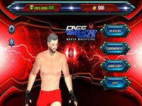 Wrestling Cage Revolution Game screenshot, image №908858 - RAWG