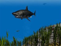 Shark Simulator 3D 2016 - Ocean animals screenshot, image №935944 - RAWG