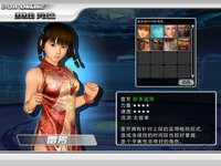 Dead or Alive Online screenshot, image №480251 - RAWG