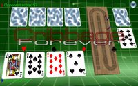 Cribbage Forever screenshot, image №1601717 - RAWG