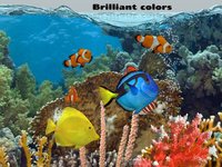 Fish Farm 2 screenshot, image №925276 - RAWG