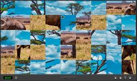 Animals Of Africa screenshot, image №3413559 - RAWG