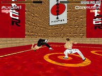 Karate Fighter screenshot, image №343364 - RAWG