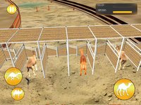 Desert King Camel Race screenshot, image №1989846 - RAWG