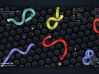 slither.io screenshot, image №916066 - RAWG