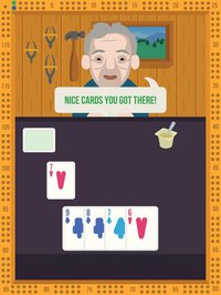 Cribbage With Grandpas screenshot, image №943320 - RAWG