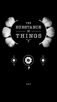 The Subtance of Things screenshot, image №1173216 - RAWG