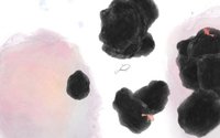 Guppy (itch) screenshot, image №1003334 - RAWG