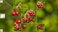 Puzzle Art: Rodents screenshot, image №3077260 - RAWG