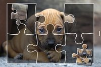 Puppies Jigsaw Puzzles Free Pet Games for Kids screenshot, image №1492927 - RAWG