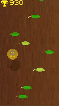BirdOut screenshot, image №1984099 - RAWG