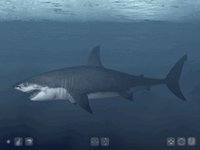 Talking Great White HD - for iPad screenshot, image №968003 - RAWG