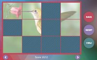 Déjà Vu - Zoo screenshot, image №1530304 - RAWG