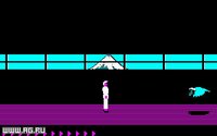 Karateka (1985) screenshot, image №296447 - RAWG