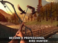 Bowman Simulator: Birds Hunting Master screenshot, image №1763685 - RAWG
