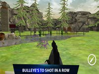 Training Shooting Target screenshot, image №1326895 - RAWG