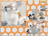 Funny jigsaw puzzle - With cute photos! screenshot, image №1606352 - RAWG