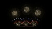 FWsim - Fireworks Display Simulator screenshot, image №2718267 - RAWG